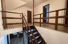 Casa de 200 mp, 500 mp teren, zona Lapus Arges