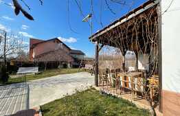 Casa de 200 mp, 500 mp teren, zona Lapus Arges