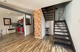 Casa de 200 mp, 500 mp teren, zona Lapus Arges