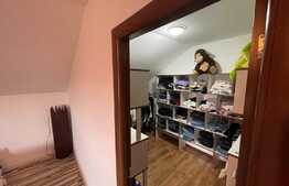 Casa de 200 mp, 500 mp teren, zona Lapus Arges