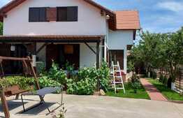 Casa de 200 mp, 500 mp teren, zona Lapus Arges