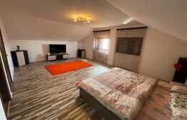 Casa de 200 mp, 500 mp teren, zona Lapus Arges