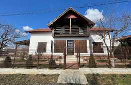 Casa de 200 mp, 500 mp teren, zona Lapus Arges