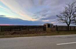 Teren IV + EV împrejmuit de 4.760 mp, cu hală de 200 mp, Bucovăț