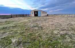 Teren IV + EV împrejmuit de 4.760 mp, cu hală de 200 mp, Bucovăț