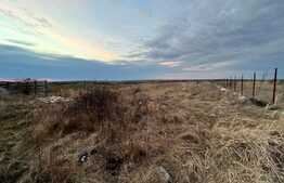 Teren IV + EV împrejmuit de 4.760 mp, cu hală de 200 mp, Bucovăț