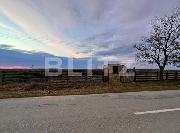 Teren de vânzare Bucovat - 81715TV | BLITZ Craiova | Poza10