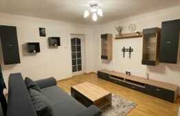 Apartament 2 camere, curte cu foisor+camera, 2 locuri parcare, zona Electroputere Mall