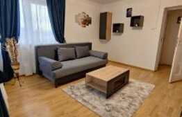 Apartament 2 camere, curte cu foisor+camera, 2 locuri parcare, zona Electroputere Mall