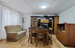Apartament 2 camere, curte cu foisor+camera, 2 locuri parcare, zona Electroputere Mall