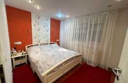 Apartament de 3 camere, semidecomandat, Brazda