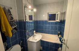 Apartament de 3 camere, semidecomandat, Brazda