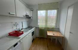 Apartament de 3 camere, izolat exterior, zona Rovine