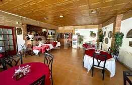 Spatiu comercial, 400 mp, trafic intens pietonal si auto, zona centrala