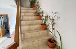 Casa de inchiriat etajele 1 si 2, centrala termica, Braniste