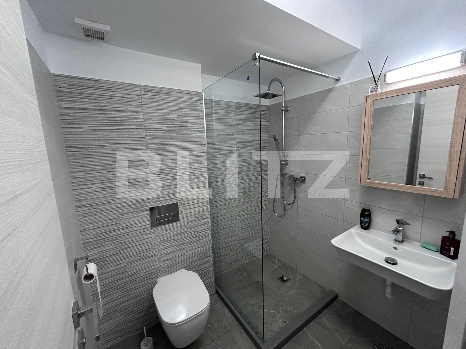 Apartament de închiriat 3 camere Lapus Arges - 81914AI | BLITZ Craiova | Poza8