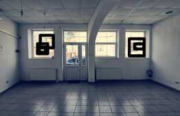 Spatiu comercial 100 mp, subsol si parter, zona Bd. Carol I