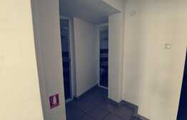 Spatiu comercial 100 mp, subsol si parter, zona Bd. Carol I