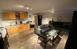 Apartament in vila, 3 camere, 90 mp, zona Calea Severinului