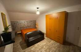 Apartament in vila, 3 camere, 90 mp, zona Calea Severinului