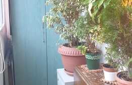 Apartament 2 camere, 50 mp, mobilat, in zona Brazda