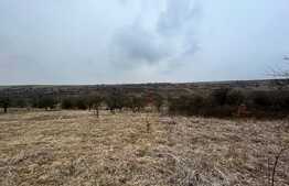 REDUCERE!!! Teren extravilan 5.613 mp, livadă, zona Predești