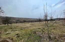 REDUCERE!!! Teren extravilan 5.613 mp, livadă, zona Predești