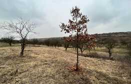 REDUCERE!!! Teren extravilan 5.613 mp, livadă, zona Predești