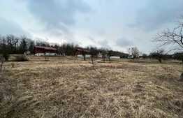 REDUCERE!!! Teren extravilan 5.613 mp, livadă, zona Predești