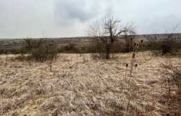 REDUCERE!!! Teren extravilan 5.613 mp, livadă, zona Predești