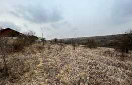 REDUCERE!!! Teren extravilan 5.613 mp, livadă, zona Predești