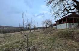 REDUCERE!!! Teren extravilan 5.613 mp, livadă, zona Predești