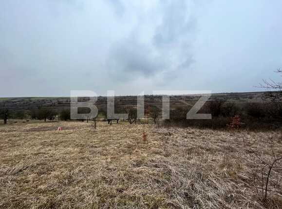 Teren de vânzare Nord-Vest - 82194TV | BLITZ Craiova | Poza3