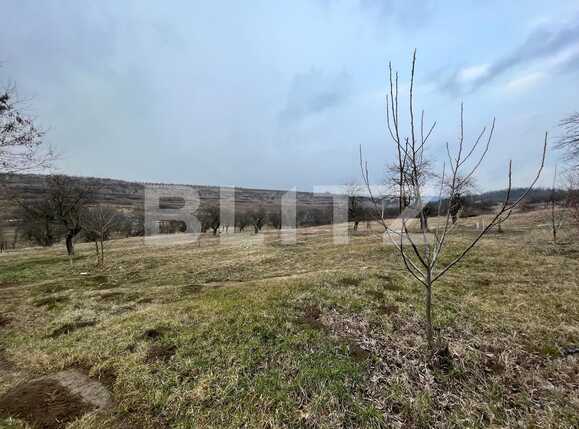 Teren de vânzare Nord-Vest - 82194TV | BLITZ Craiova | Poza5