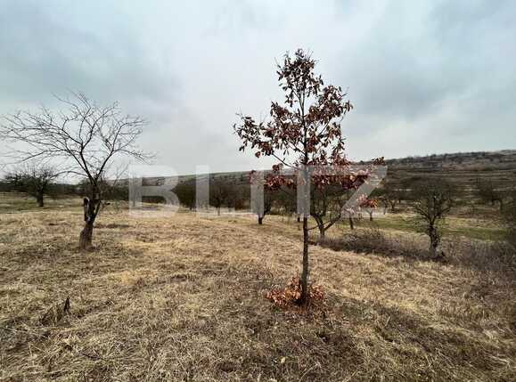 Teren de vânzare Nord-Vest - 82194TV | BLITZ Craiova | Poza2