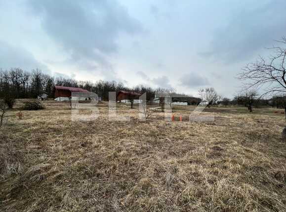 Teren de vânzare Nord-Vest - 82194TV | BLITZ Craiova | Poza6