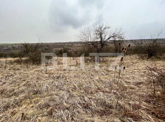 Teren de vânzare Nord-Vest - 82194TV | BLITZ Craiova | Poza7