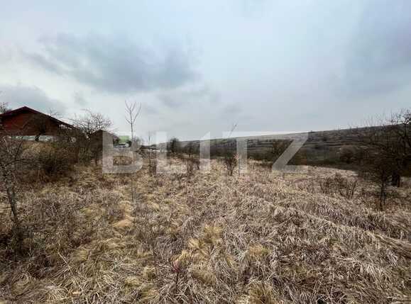 Teren de vânzare Nord-Vest - 82194TV | BLITZ Craiova | Poza4