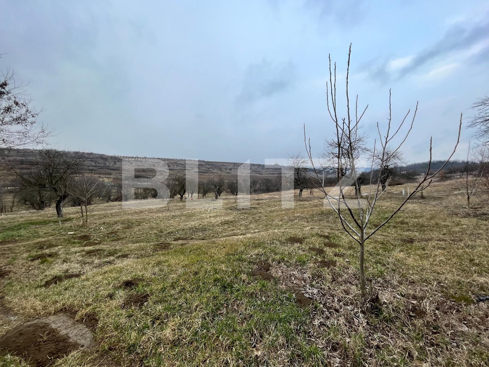 Teren de vânzare Nord-Vest - 82194TV | BLITZ Craiova | Poza5