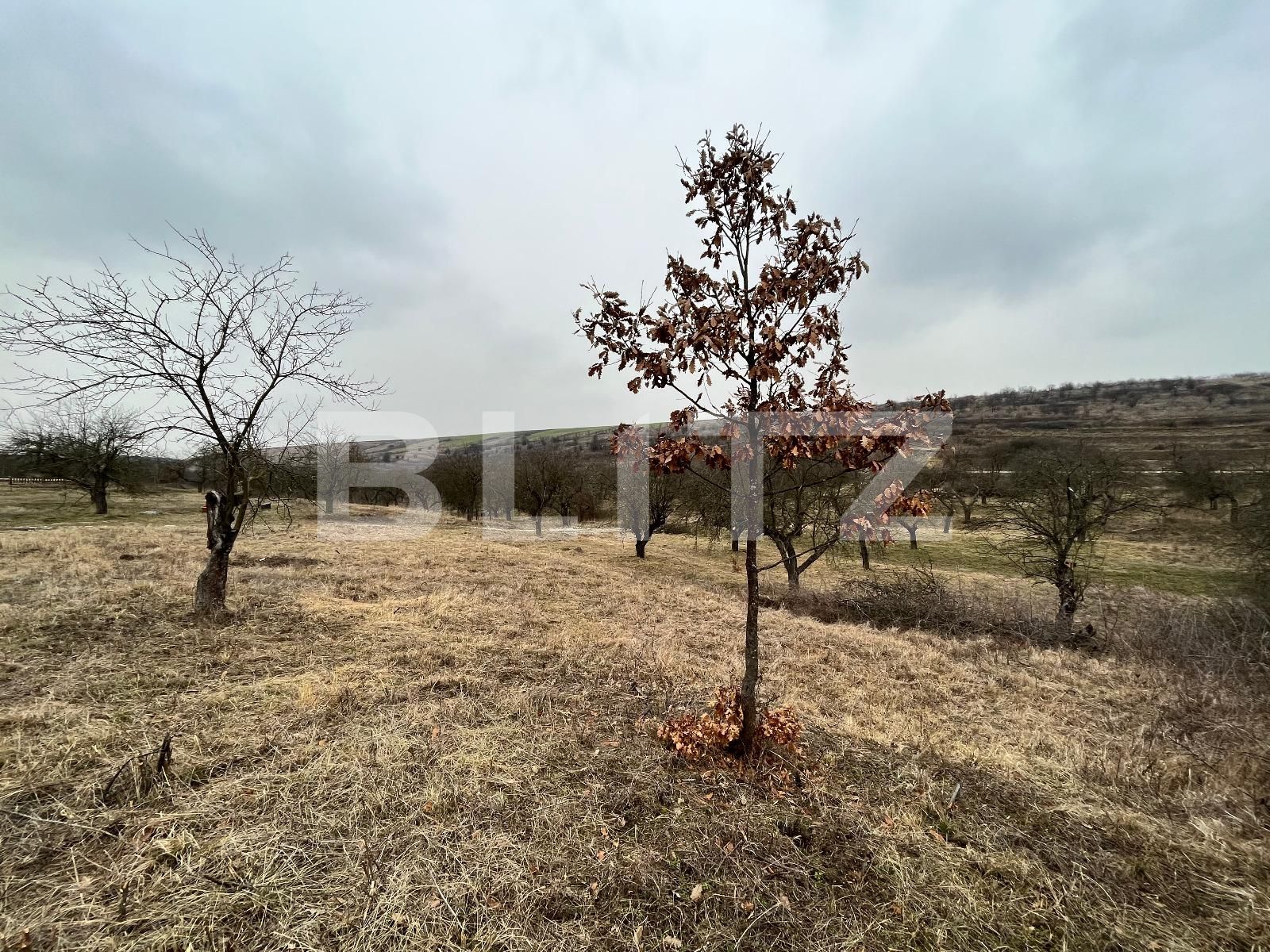 Teren de vânzare Nord-Vest - 82194TV | BLITZ Craiova | Poza2