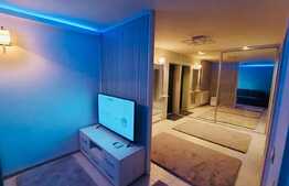 Apartament 2 camere, terasa de 30 mp, lux, zona Calea Severinului