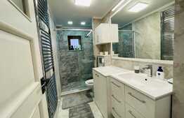 Apartament 2 camere, terasa de 30 mp, lux, zona Calea Severinului