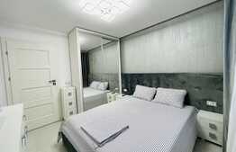 Apartament 2 camere, terasa de 30 mp, lux, zona Calea Severinului