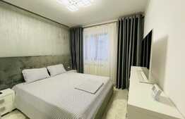 Apartament 2 camere, terasa de 30 mp, lux, zona Calea Severinului