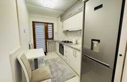 Apartament 2 camere, terasa de 30 mp, lux, zona Calea Severinului