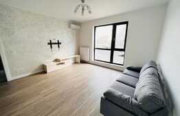 Studio spatios de 45 mp, modern, zona Ciuperca