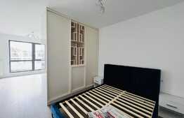 Studio spatios de 45 mp, modern, zona Ciuperca