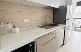 Studio spatios de 45 mp, modern, zona Ciuperca