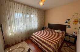 Apartament aerisit, 2 camere, etaj intermediar, zona Craiovita