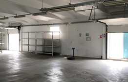 Hala industriala, 500 mp, zona Carcea